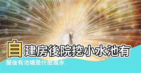 門口 水池風水|大門口有水池好不好 形狀位置要辨別